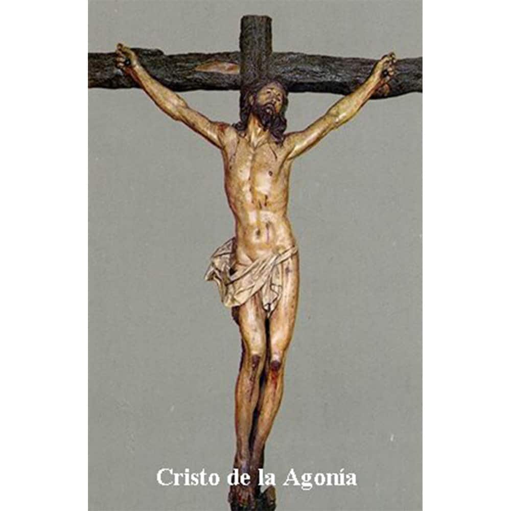 Estampa Plastificada Cristo de la Agonía