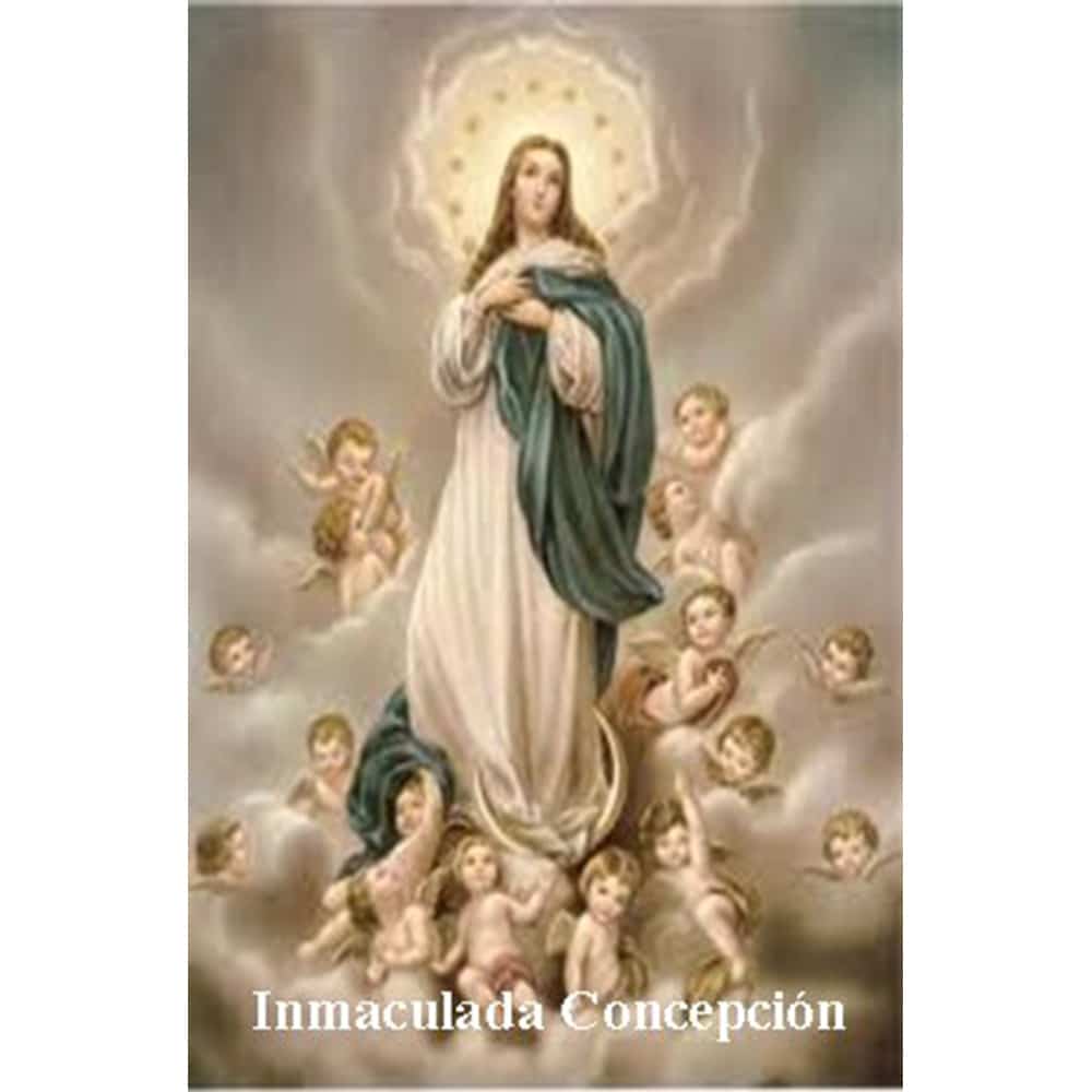 Estampa Plastificada Inmaculada Concepción