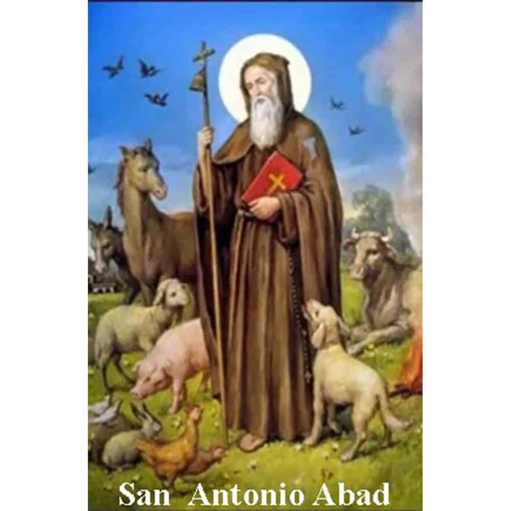 Estampa Plastificada San Antonio Abad