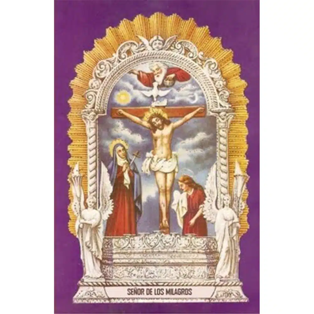 Estampa Plastificada Señor de los Milagros
