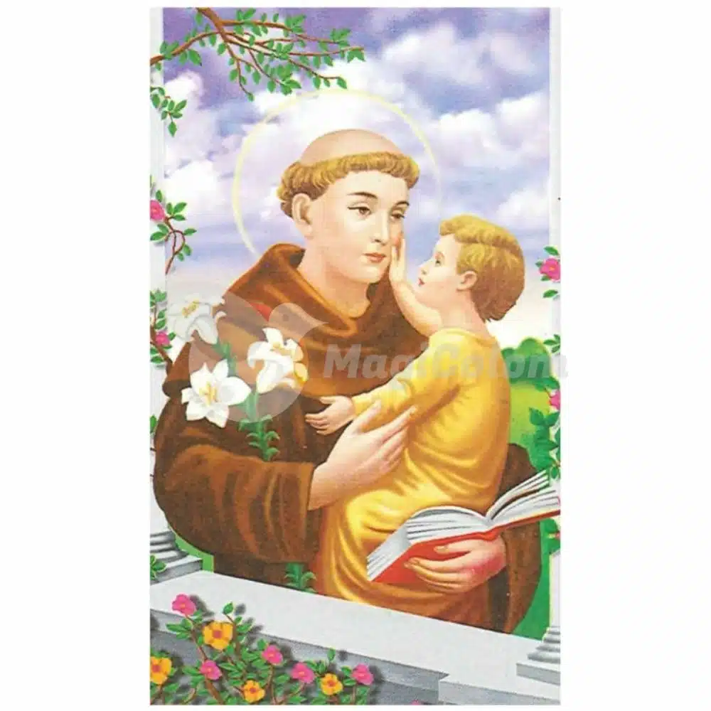 Estampa de San Antonio de Padua Plastificada
