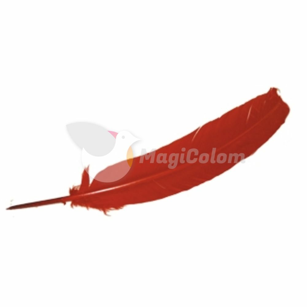 Pluma para Ritual