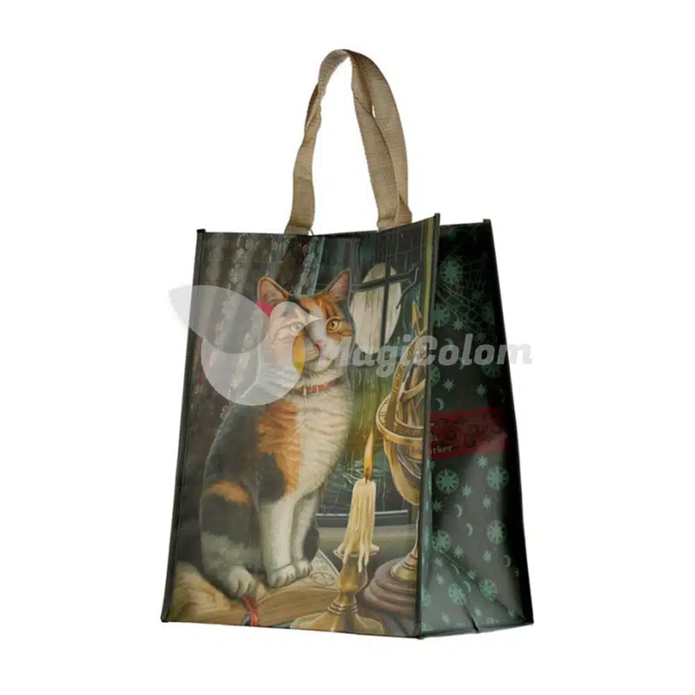 Bolsa Gato aventurero de Lisa Parker