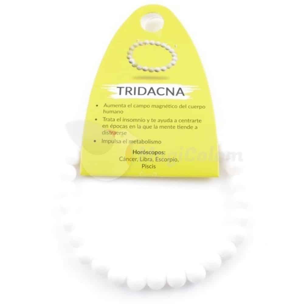 Pulsera Tridacna Elástica