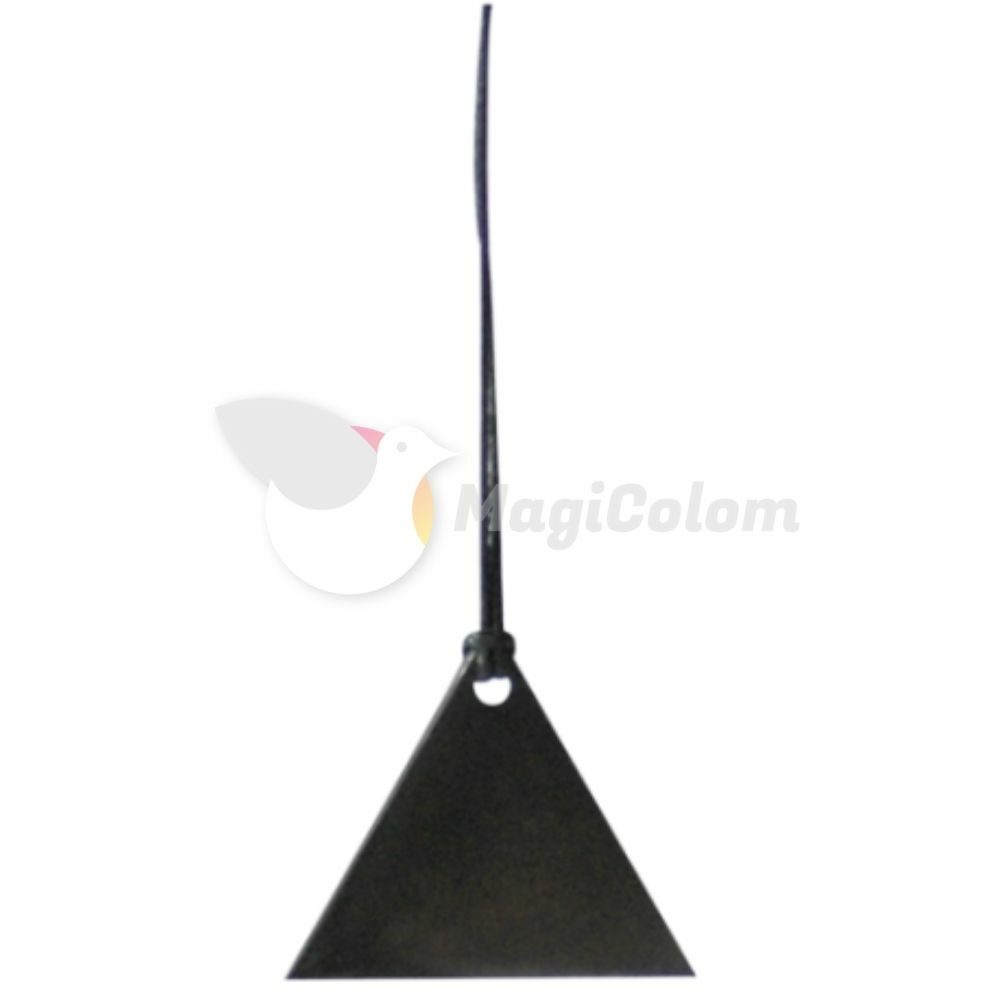 Colgante Shungit Triangulo Masculino