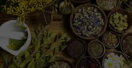 Plantas esotéricas y su función