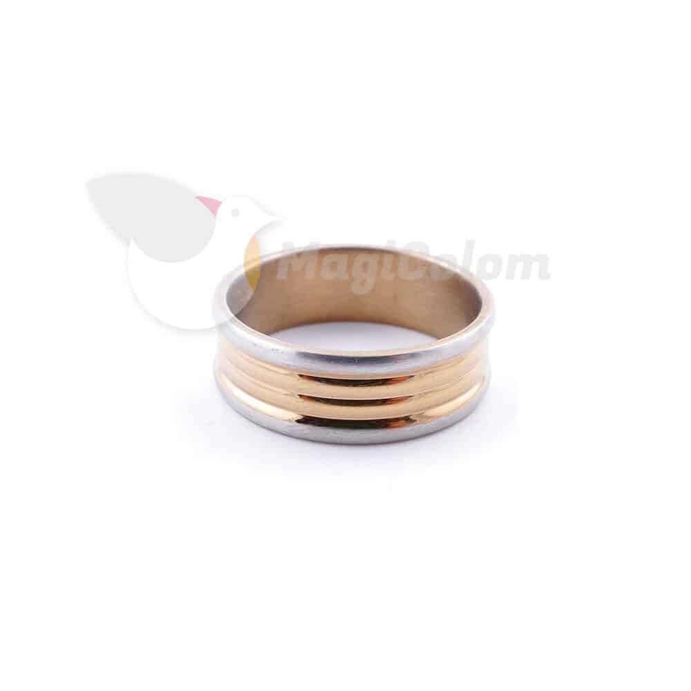 Anillo Plateado Dorado