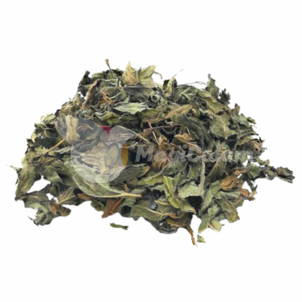 Hierba Menta Esoterismo