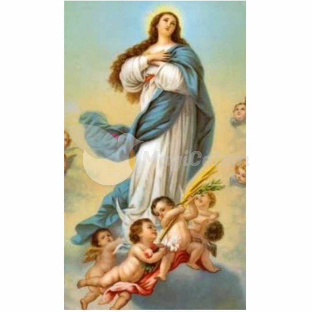 Estampa Plastificada Virgen de la Asunción