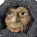 Fosseg 2