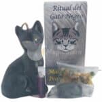 Ritual Gato Negro Atraer Buena Suerte