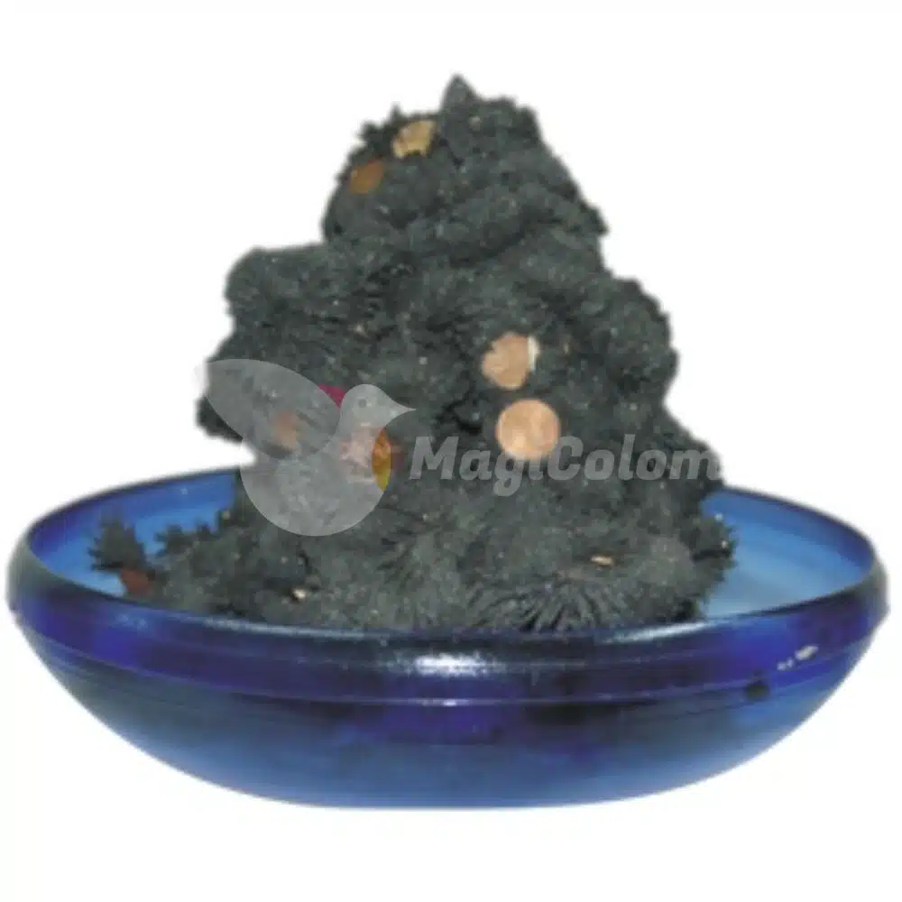 Piedra de Imán Vivo